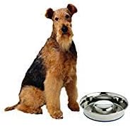OurPet's Durapet Slow Feed Premium Stainless Steel Dog Bowl, Silver, Large (2040010302) | Helps pace rapid eaters, durable easy clean design, an alternative to snuffle mats for calmer mealtimes, a sturdy daily dish