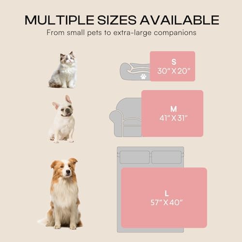 Luciphia 2 Pack Small Dog Blanket, Cozy Fleece Throw for Puppy Cat,30"x20" - Image 6