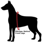 Velpro Mesh Pet Shoulder Harness Collar (Coral, 18")