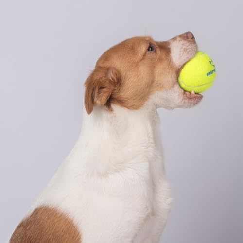 Best Pet Supplies Interactive Squeaky Dog Chew Toy, Ideal Dog Toys for Chewers, Small, Medium & Large Dogs, and Fetch Lovers - Tennis (Yellow), Medium (Pack of 4) - Image 7