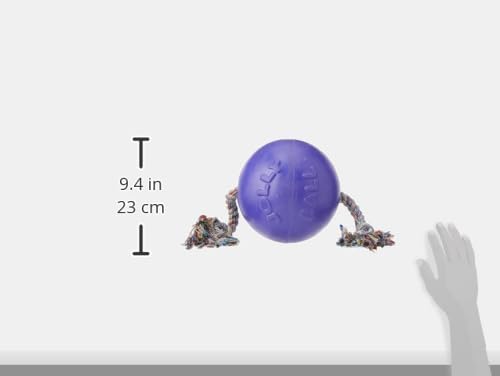 Jolly Pets Romp-n-Roll Rope and Ball Dog Toy, 8 Inches/Large, Purple, Large Breeds