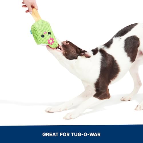 BarkBox BARK Consuela the Cactus Pop - 2-in-1 - Large - Image 6