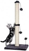MECOOL 34“ Tall Cat Scratching Post Premium Basics Kitten Scratcher Sisal Scratch Posts Trees with Hanging Ball for Indoor Cats (34 inches for Adult Cats, Charcoal Gray) by MECOOL