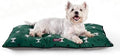 Berkshire Peanuts® Square Dog Bed, Suedemink Fleece Pet Mat with Waterproof & Non-Slip Bottom, Soft Plush Dog Mat for Crate, Couch, or Floor, Machine Washable(Snoopy Sitting Dot Green, Large) by BerkshireHomeCompany