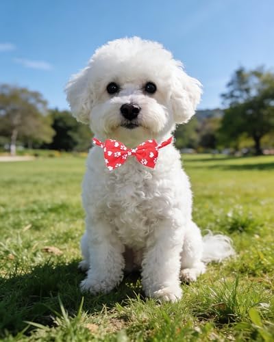 PET SHOW 30 Pack Paw Print Dog Bowties Bulk for Small Dogs Cats - Image 6