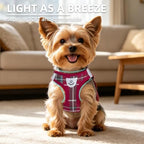 PUPTECK Dog Harness, Collar and Leash Set No Pull for Small Medium Sized - Image 3