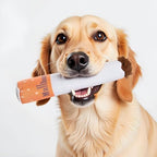 Nestpark Muttboro Doggy Cigs Funny Dog Toys - Parody Plush Squeaky Crinkle Interactive Dog Toy - Hide and Seek Treat Hiding Burrow Puzzle Toy for Stimulating Enrichment Activity - Image 5