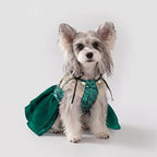 Princess Dog Dresses for Small Dogs Girl Sequin Dog Birthday Dress - Image 2