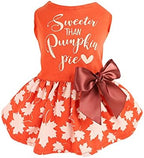 Fitwarm Thanksgiving Sweeter Than Pumpkin Pie Dog Dress 100% Cotton Puppy Costumes Pet Clothes Holiday Girl One-Piece Doggy Outfits Tank Top Vest Dresses Cat Apparel Orange XXS by Fitwarm