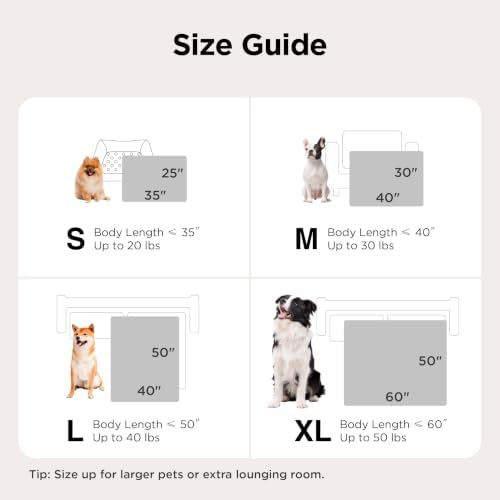 Bedsure Dog Blanket for Small Dogs Puppy and Cats, Soft Fleece, 25x35 Green - Image 5