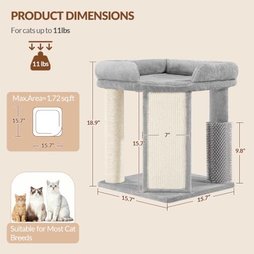 Small Cat Tree with Cat Scratching Post, 18.9 in Tower Light Gray - Image 5