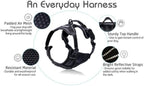 rabbitgoo Dog Harness, No Pull for Large Dogs with 2 Leash Clips, Pet Vest | No Choke with Handle, Adjustable Soft Padded, Reflective, Easy Control for Walking, Black, Large