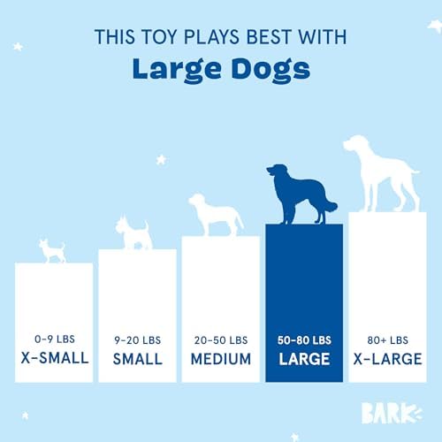 BarkBox Consuela the Cactus 2-in-1 Interactive Plush Dog Toy - Image 6