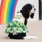 Fitwarm Happy Go Lucky Dog Dress, St Patricks Day Dog Clothes for Small Dogs Girl, Funny Pet Outfit, Green, Light Yellow, Small - Image 2