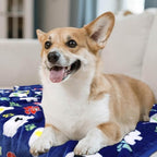 Rezutan Blanket for Large Dogs 3 Pack Elephant & Paw Print 40"x31" Blue - Image 4