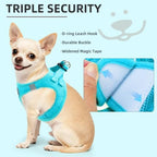 PUPTECK Dog Harness, Collar and Leash Set No Pull for Small Medium Sized - Image 5