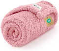 Luciphia Ultra Soft Sherpa Fleece Dog Puppy Cat Blanket for Small Pets by luciphia