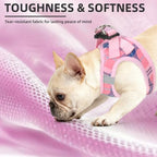 PUPTECK Dog Harness, Collar and Leash Set No Pull for Small Medium Sized - Image 6