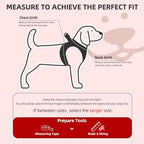 PUPTECK Christmas Dog Harness, Collar and Leash Set No Pull for Small Sized - Image 2