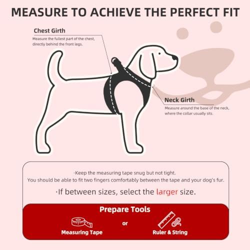 PUPTECK Christmas Dog Harness, Collar and Leash Set No Pull for Small Sized - Image 2