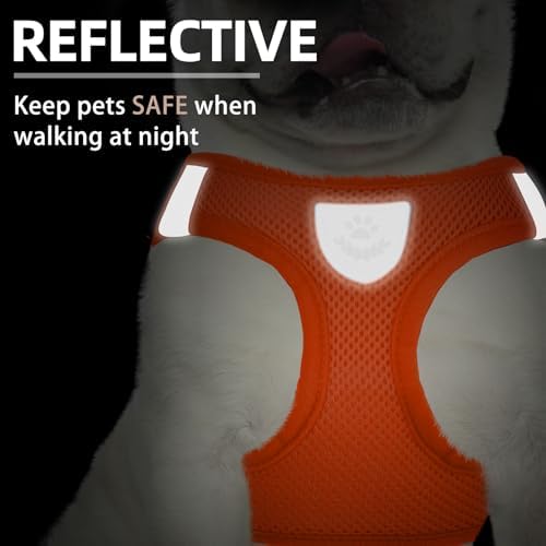 PUPTECK Dog Harness, Collar and Leash Set No Pull for Small Medium Sized - Image 5