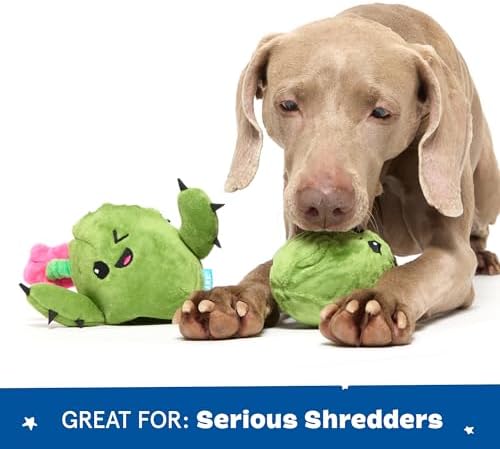 BarkBox Consuela the Cactus 2-in-1 Interactive Plush Dog Toy - Image 5