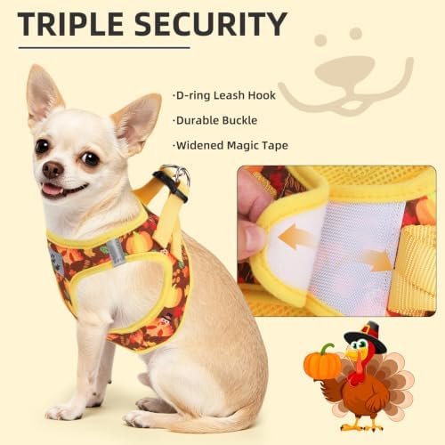 PUPTECK Dog Harness, Collar and Leash Set No Pull for Small Medium Sized - Image 5