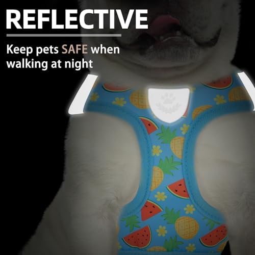PUPTECK Dog Harness, Collar and Leash Set No Pull for Small Medium Sized - Image 5