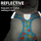 PUPTECK Dog Harness, Collar and Leash Set No Pull for Small Medium Sized - Image 5