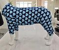 Dog Pajamas Lightweight Dog Onesies Soft Stretchy Tiny Outfit Clothes for Small Medium Large Puppy Pjs Clothes Doggie Cat Pet Boys Girls Outfit (Blue Heart, XXX-Large) by WelcometothePAWPRINTPAL