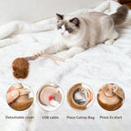 Migipaws Interactive MigiMouse Cat Toy for Chewing Cat, 360° Rolling & Spin with Wiggling Tail for Indoor Cats Smart Motion Sensor, Realistic Squeak, Rechargeable Plush Kitten Toy (Brown) - Image 6