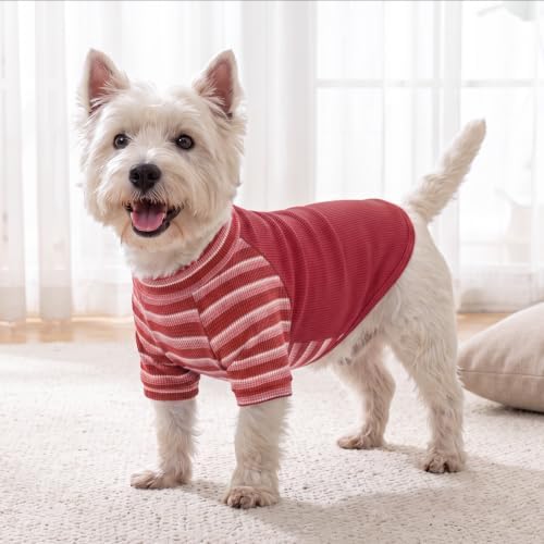 KYEESE 2Pack Waffle Dog Christmas Shirt for Small Dog Sweater with Sleeves - Image 6