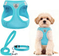 PUPTECK Dog Harness, Collar and Leash Set No Pull for Small Medium Sized by PUPTECK