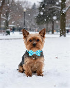PET SHOW 30 Pack Winter Dog Bowties Bulk for Small Dogs Cats - Image 5