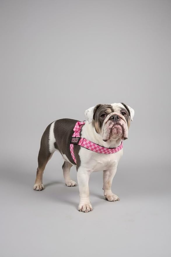 BULLHUG Adjustable Dog Harness– No Pull, No Choke – for English Bulldogs, French Bulldogs, Pugs & Broad-Chested Breeds – Easy, Safe Walks (Pink, Checker XL)