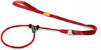 HowGo Slip Lead Dog Leash, 2 Spring-Loaded Slide Stopper (Red 3.6FT) | Paddle Handles Heavy-Duty Training Lead Collar,Lightweight Aluminum Nylon,No-Pull Walking,Large Medium Breeds,Dog Trainer