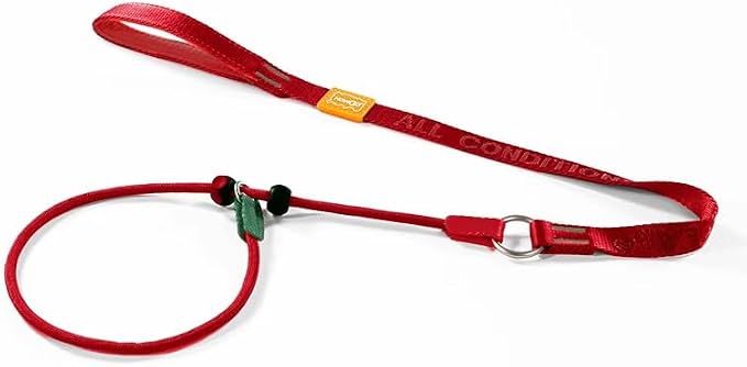 HowGo Slip Lead Dog Leash, 2 Spring-Loaded Slide Stopper (Red 3.6FT) | Paddle Handles Heavy-Duty Training Lead Collar,Lightweight Aluminum Nylon,No-Pull Walking,Large Medium Breeds,Dog Trainer