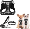 PUPTECK Dog Harness, Collar and Leash Set No Pull for Small Medium Sized by PUPTECK