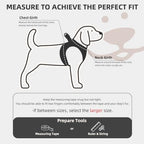 PUPTECK Dog Harness, Collar and Leash Set No Pull for Small Medium Sized - Image 2