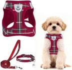 PUPTECK Dog Harness, Collar and Leash Set No Pull for Small Medium Sized by PUPTECK