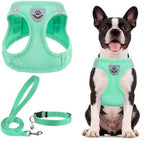 PUPTECK Dog Harness, Collar and Leash Set No Pull for Small Medium Sized by PUPTECK
