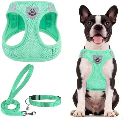 PUPTECK Dog Harness, Collar and Leash Set No Pull for Small Medium Sized by PUPTECK