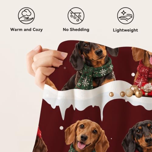 Christmas Dachshund Throw Blanket Cute Wiener Dog Gifts 40''x50'' - Image 7