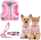 PUPTECK Dog Harness, Collar and Leash Set No Pull for Small Medium Sized by PUPTECK