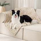 Luciphia Small Dog Blanket Washable Pet Bed Cover Soft Fluffy Puppy Blanket with Premium Fleece 300GSM Cozy Calming Cat Blankets for Indoor Cats Beige 41x31 inch by luciphia