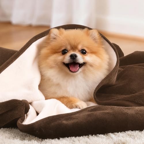 LOOBANI Waterproof Pet Blanket for Couch, Throw Size 50"x60", Coffee - Image 6
