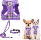 PUPTECK Dog Harness, Collar and Leash Set No Pull for Small Medium Sized by PUPTECK