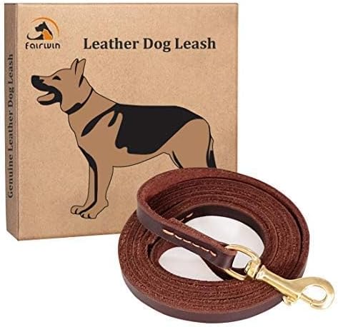FAIRWIN Genuine 5Ft Leather Dog Leash Leads Rope for Large/Medium/Small Dogs Training/Walking (S - 5 ft x 3/8 inch, Reddish Brown)