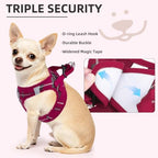 PUPTECK Dog Harness, Collar and Leash Set No Pull for Small Medium Sized - Image 5