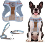 PUPTECK Dog Harness, Collar and Leash Set No Pull for Small Medium Sized by PUPTECK